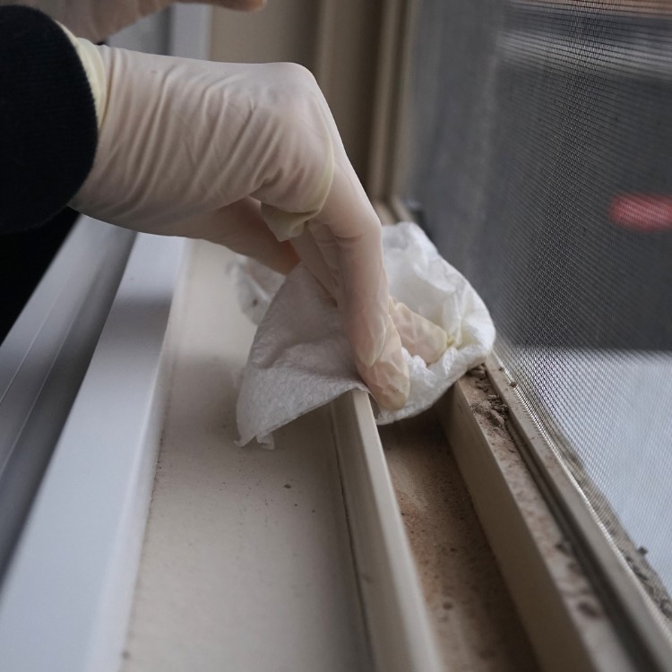 Cleaning services in Los Angeles, CA